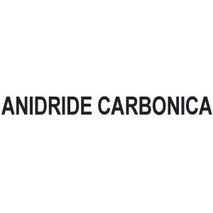 3140GT - RIDUTTORI PER ANIDRIDE CARBONICA - Prod. SCU